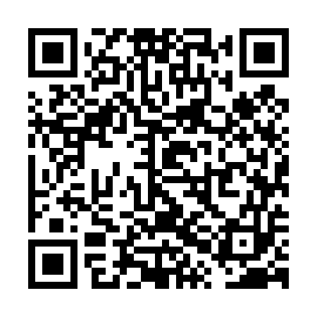 QR code for VPM453