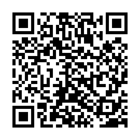QR code for VPO578