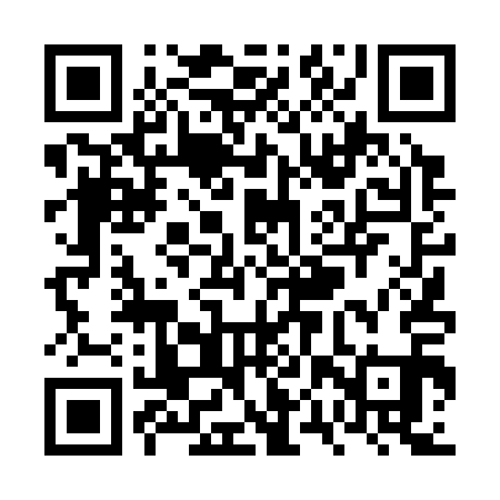 QR code for VPT311