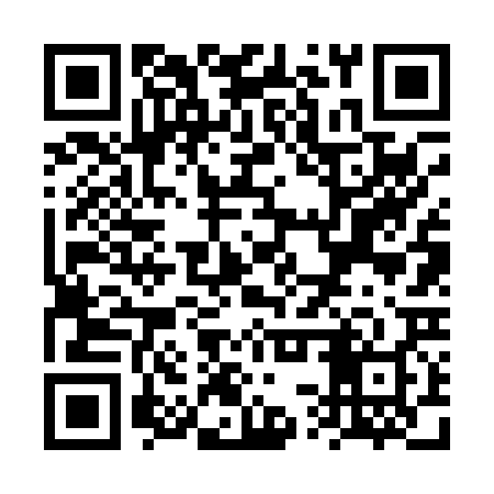 QR code for VSV028