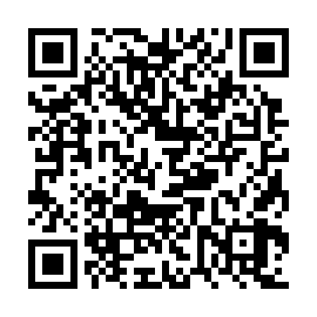 QR code for VVS368
