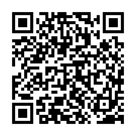 QR code for VWH313