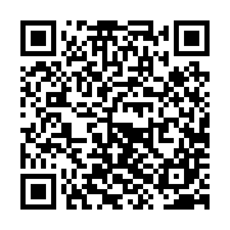 QR code for VXD287