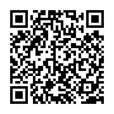 QR code for VYS619