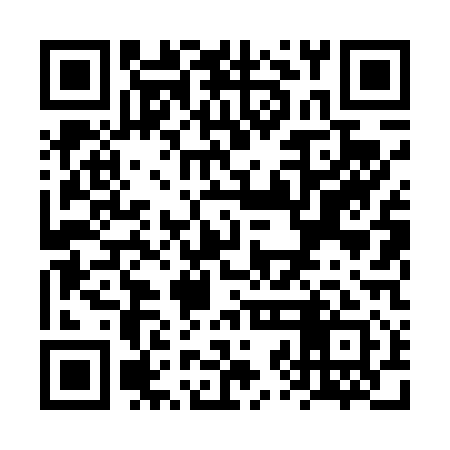 QR code for VZL411
