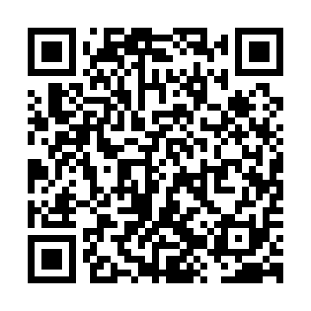 QR code for VZQ111