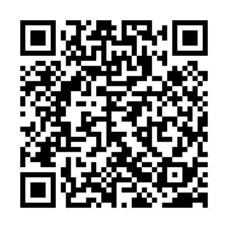 QR code for WBI038