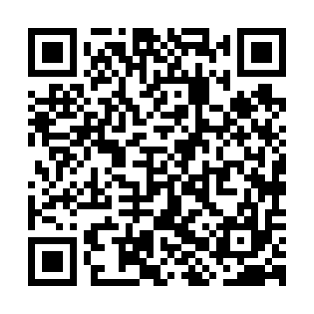 QR code for WHX617