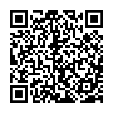 QR code for WIP095