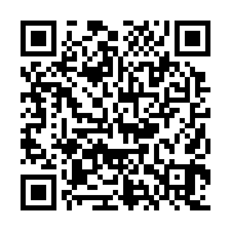 QR code for WIR341