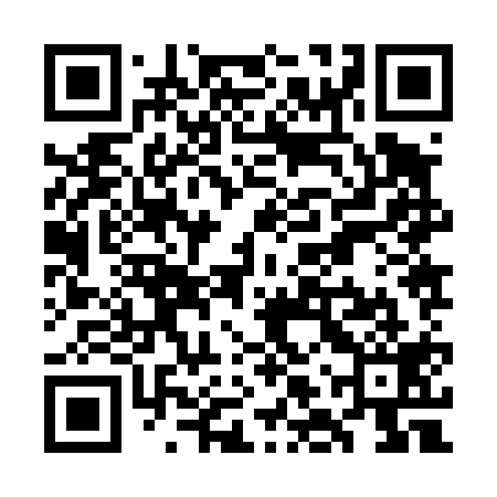 QR code for WLZ419