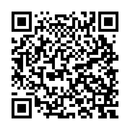 QR code for WMP383