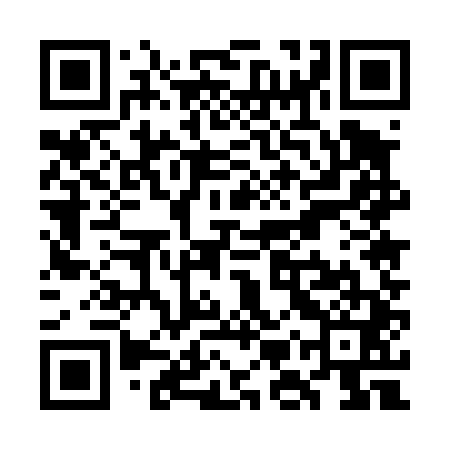 QR code for WMU441