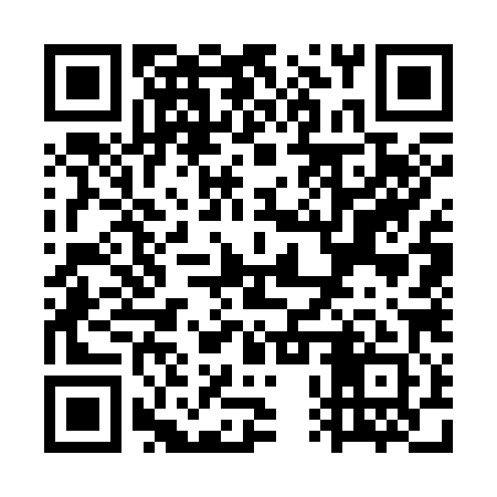 QR code for WPW381