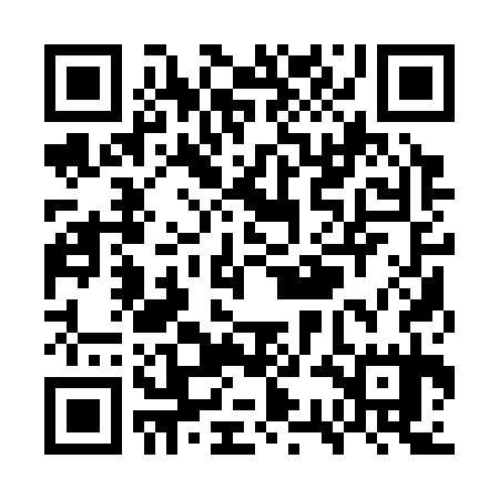 QR code for WSA335