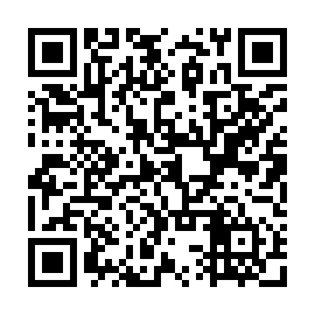 QR code for WSP954