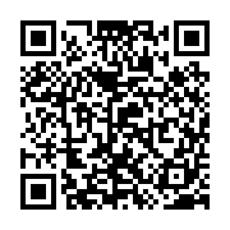 QR code for WSY250