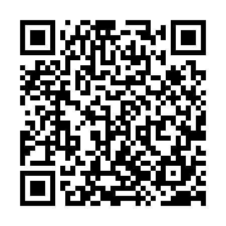 QR code for WZL374