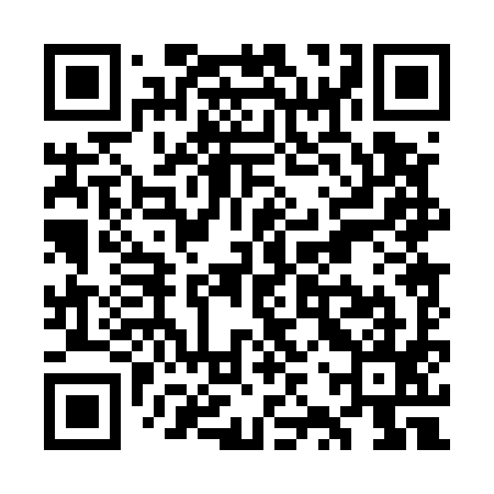 QR code for WZP595
