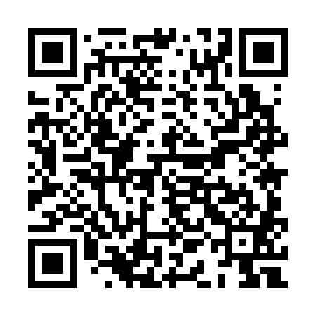 QR code for XAM381