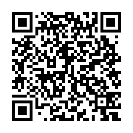 QR code for XBG339