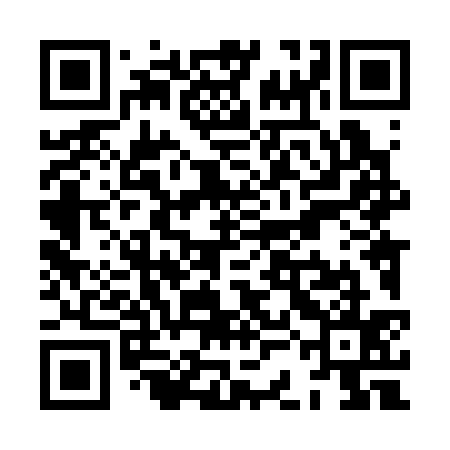 QR code for XCL335