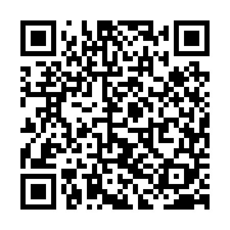 QR code for XDE249
