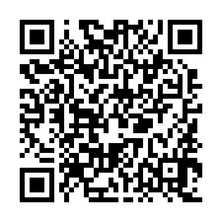 QR code for XDL294