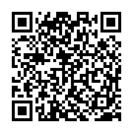 QR code for XDZ163