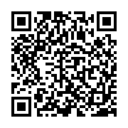 QR code for XFC313