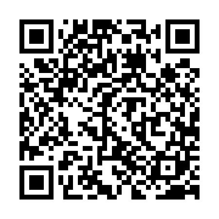 QR code for XFD541