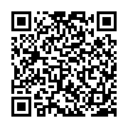 QR code for XGF333