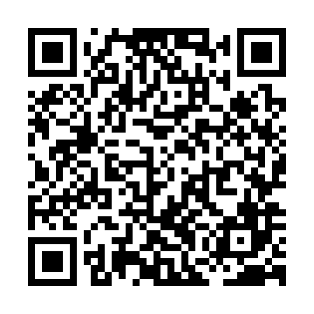 QR code for XGO386