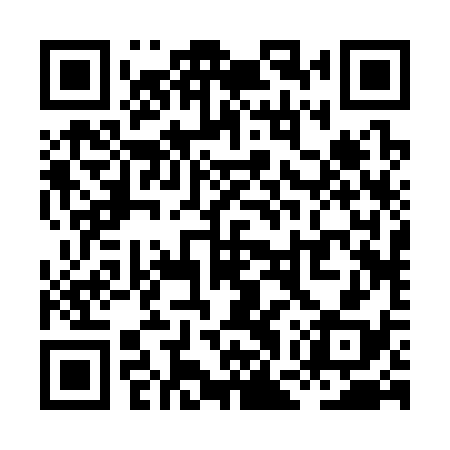 QR code for XGR338