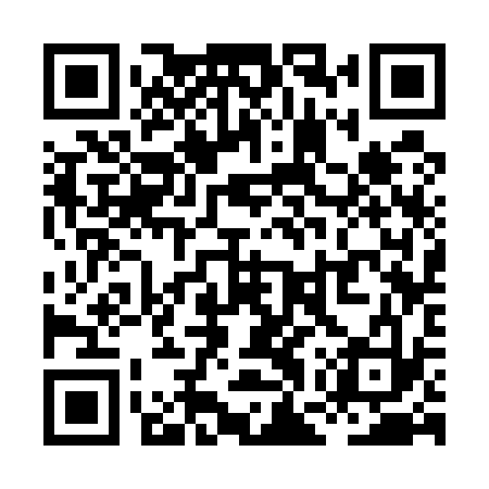 QR code for XGS533