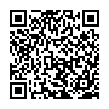 QR code for XGV317