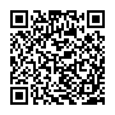 QR code for XIA397