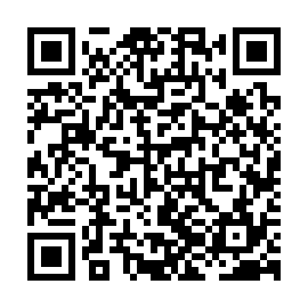 QR code for XJF334