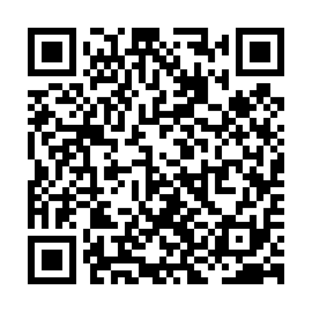 QR code for XKC411