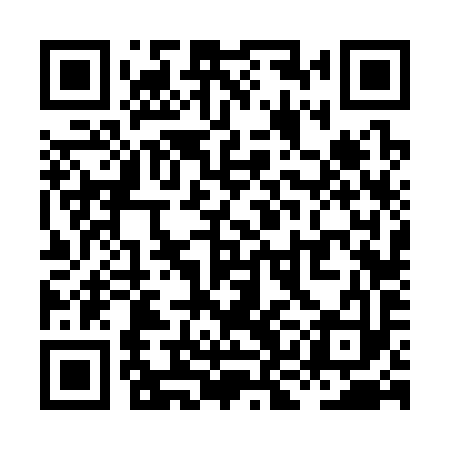 QR code for XKF393
