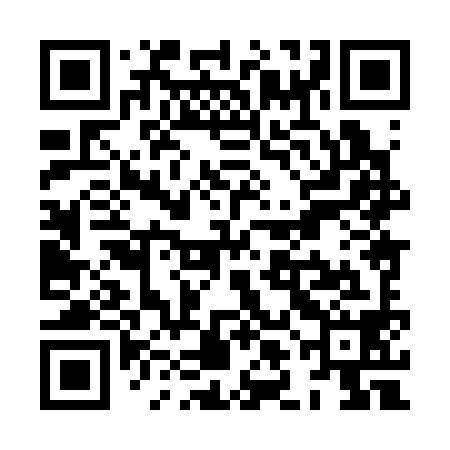 QR code for XLH398