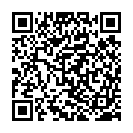 QR code for XLI653