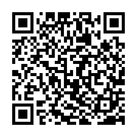 QR code for XLL303