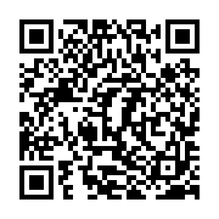 QR code for XLN293