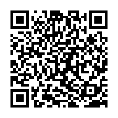 QR code for XLN319