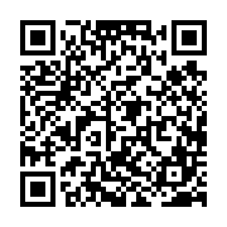 QR code for XLP606