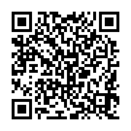 QR code for XMI393