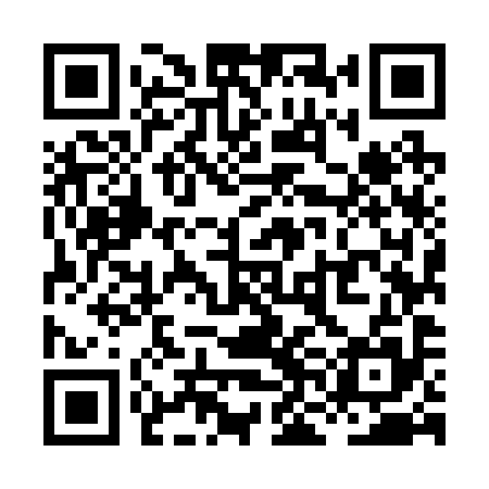 QR code for XNM295