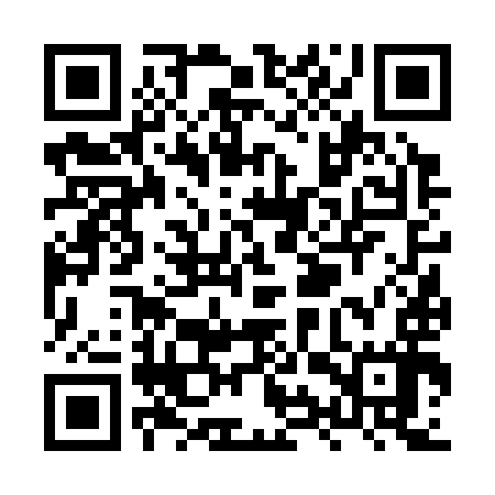 QR code for XYV397
