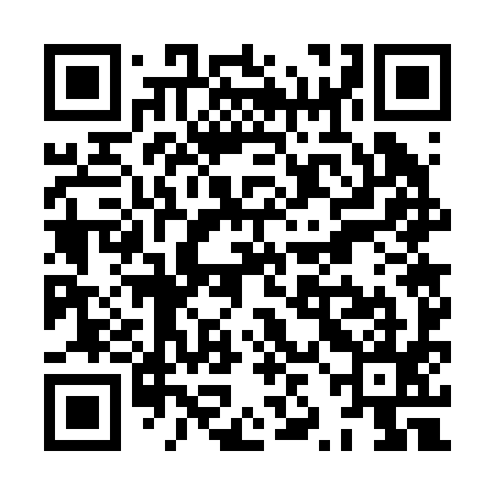 QR code for XZG295